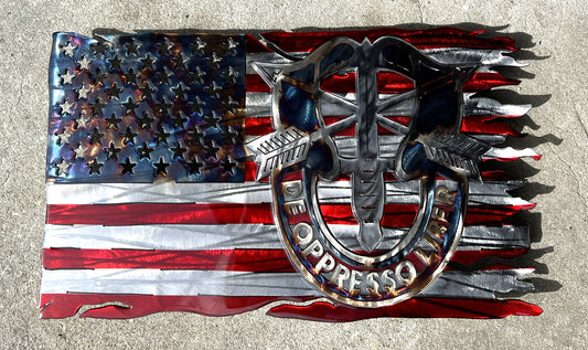 Special Forces Stars and stripes